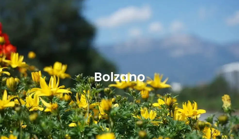 The best hotels in Bolzano