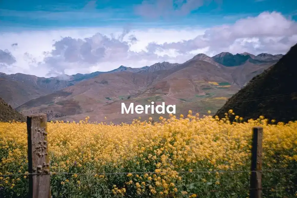 The best Airbnb in Merida