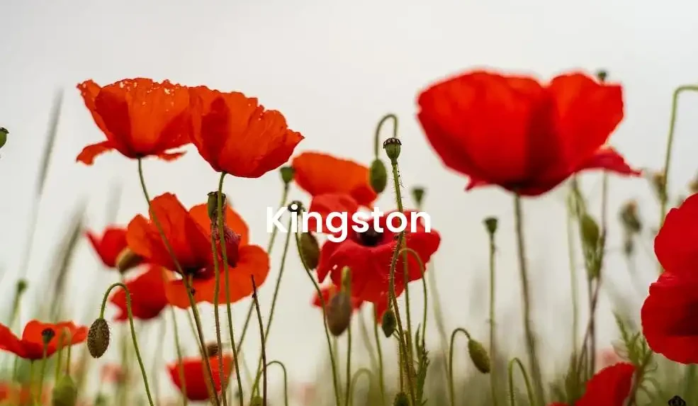 The best Airbnb in Kingston