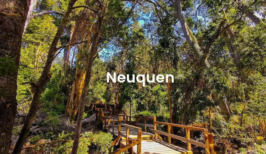 The best Airbnb in Neuquen