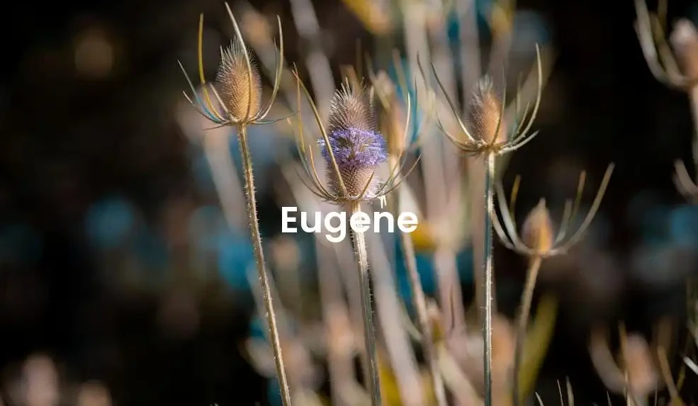 The best Airbnb in Eugene