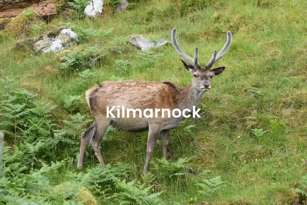 The best hotels in Kilmarnock
