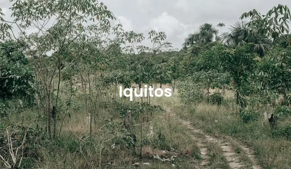 The best Airbnb in Iquitos