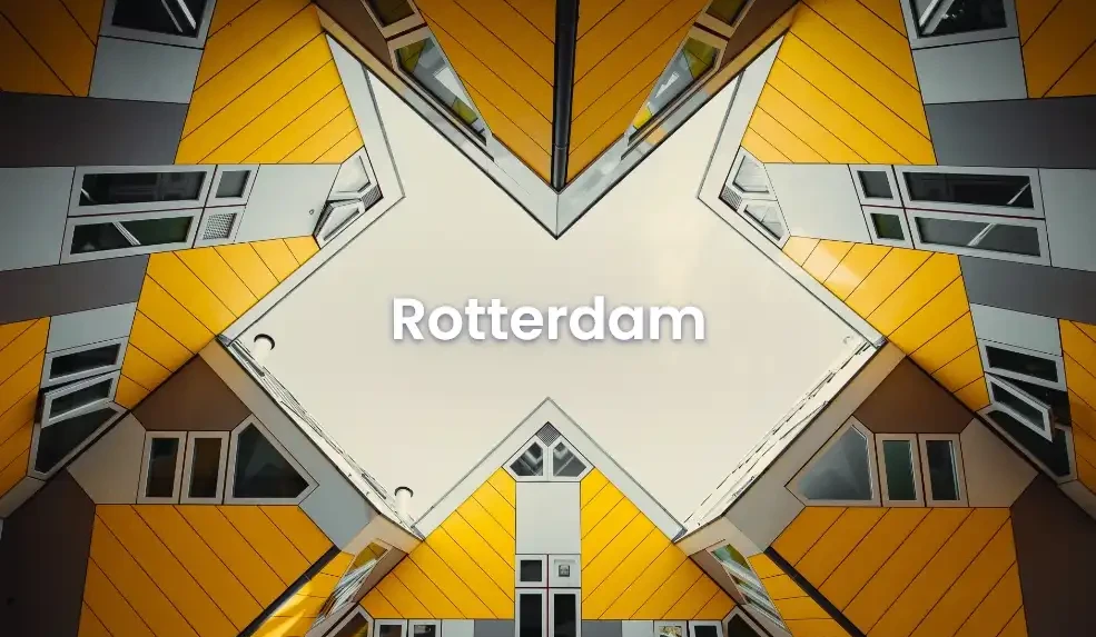 The best Airbnb in Rotterdam
