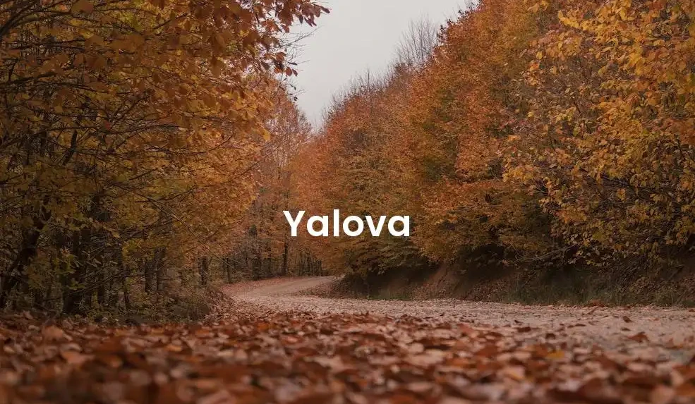 The best hotels in Yalova