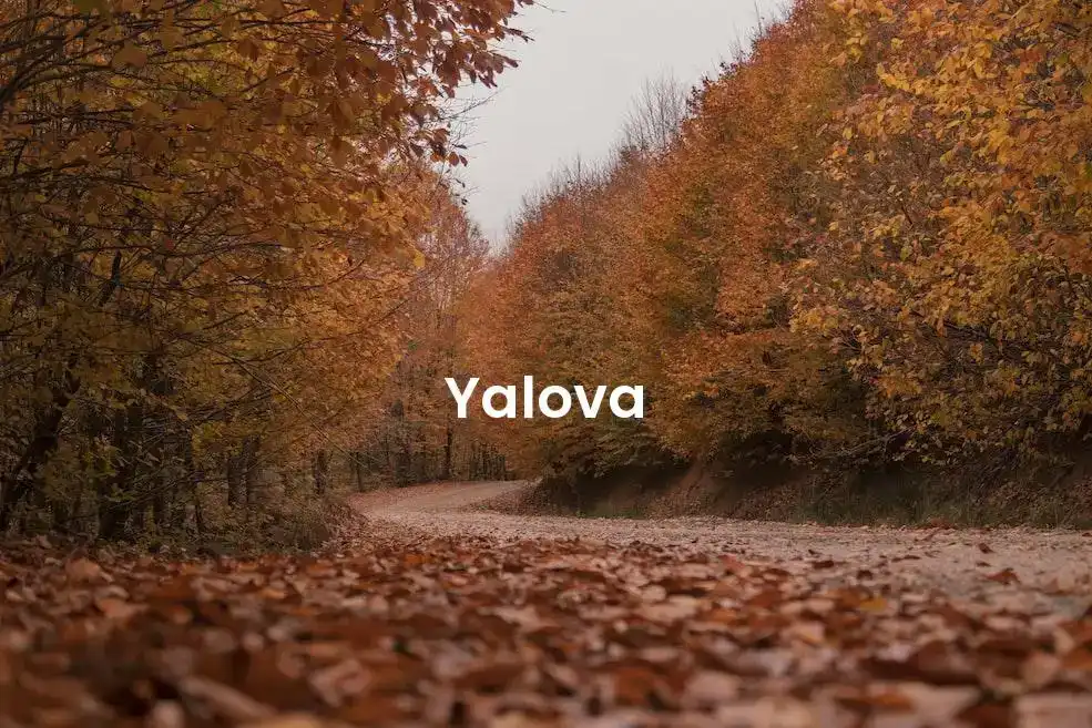 The best hotels in Yalova