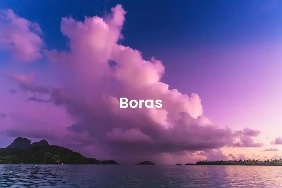 The best VRBO in Boras