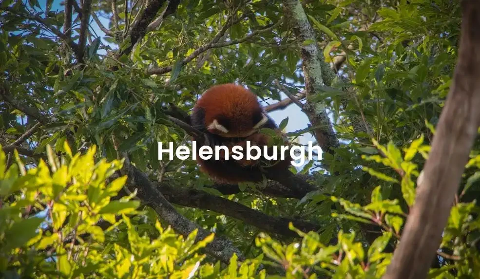 The best Airbnb in Helensburgh