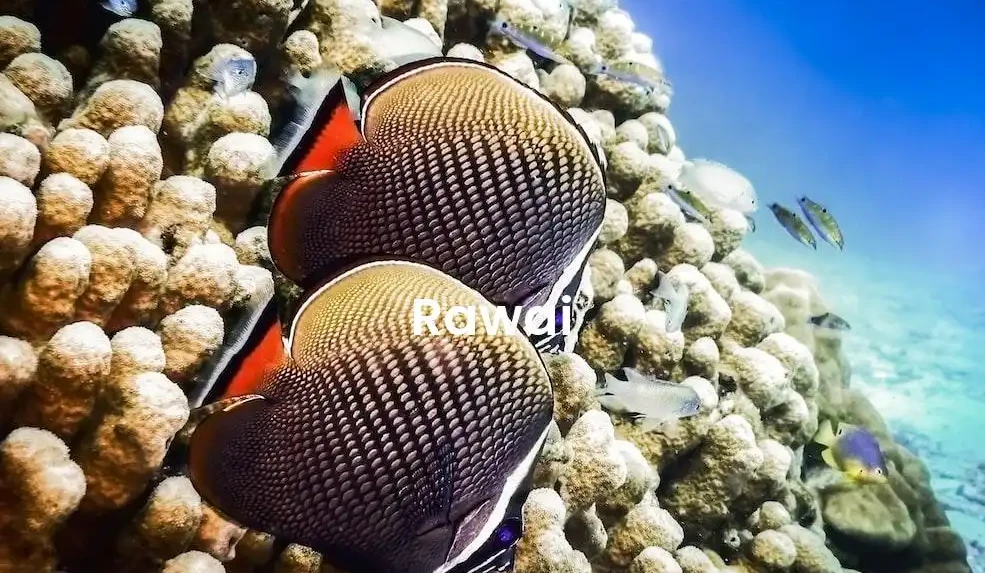 The best Airbnb in Rawai