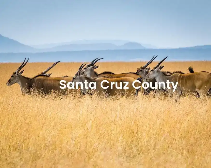 The best hotels in Santa Cruz County