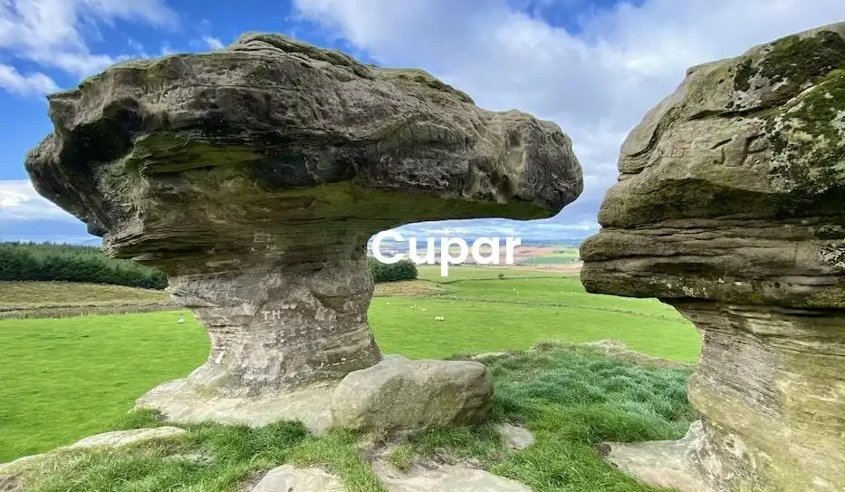 The best Airbnb in Cupar