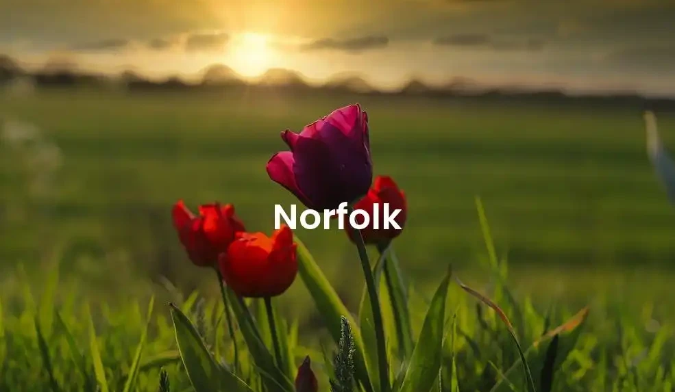 The best Airbnb in Norfolk
