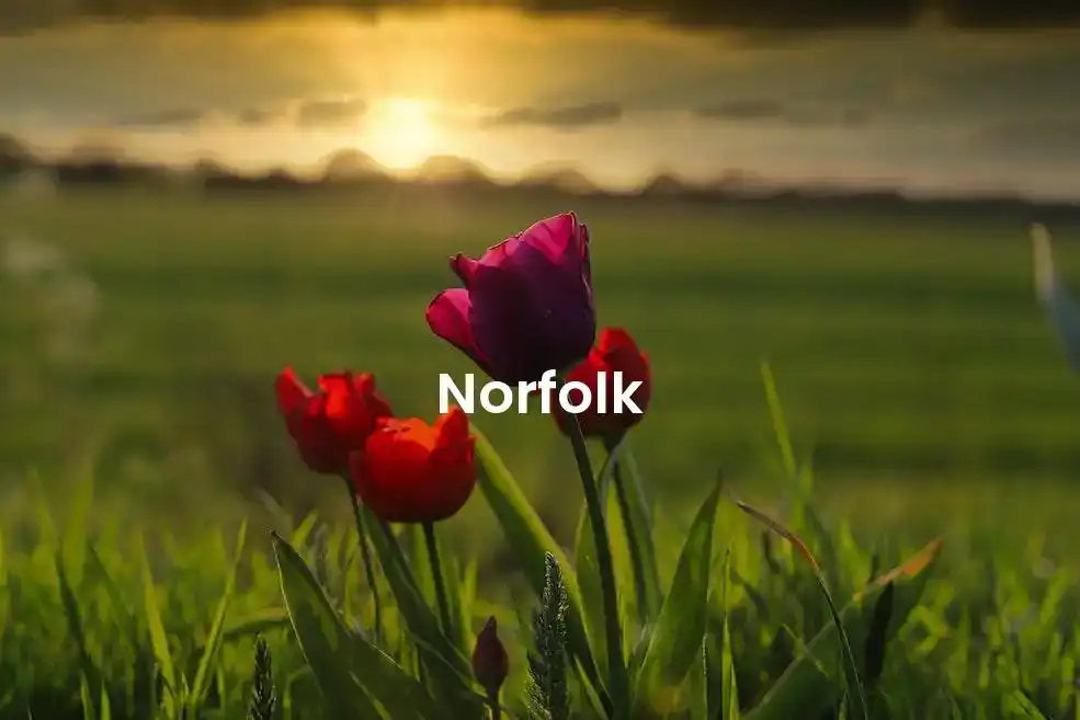 The best Airbnb in Norfolk