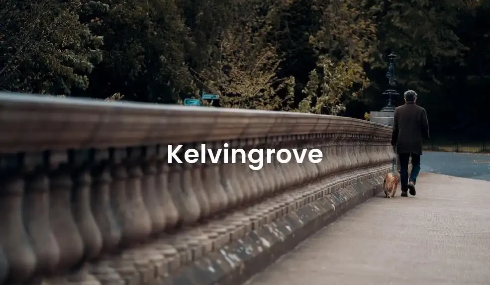 The best Airbnb in Kelvingrove