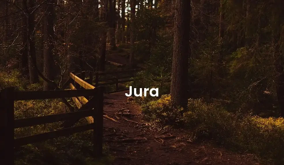 The best Airbnb in Jura