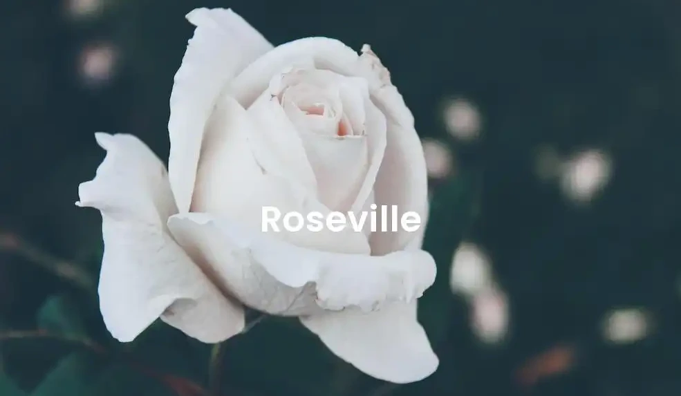 The best Airbnb in Roseville
