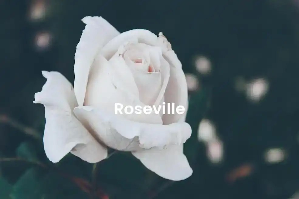 The best Airbnb in Roseville