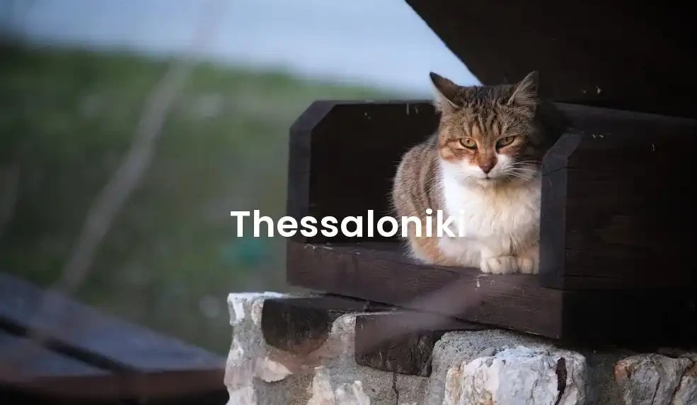 The best Airbnb in Thessaloniki