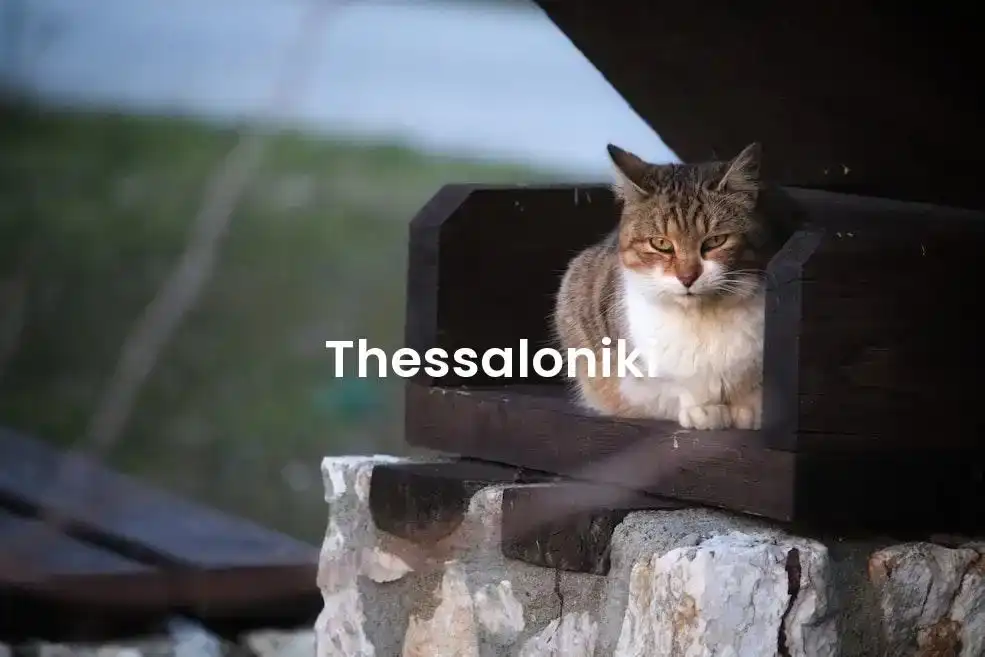 The best Airbnb in Thessaloniki