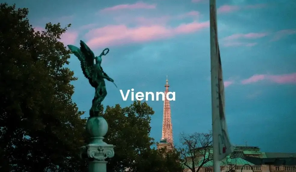 The best Airbnb in Vienna