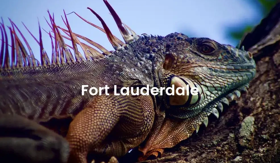 The best Airbnb in Fort Lauderdale