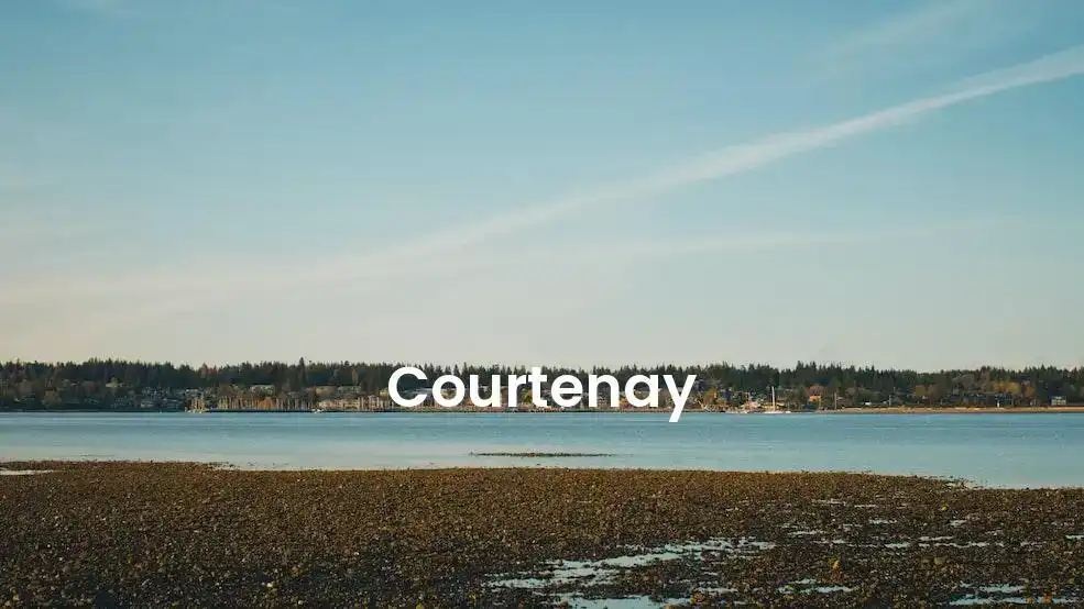 The best Airbnb in Courtenay