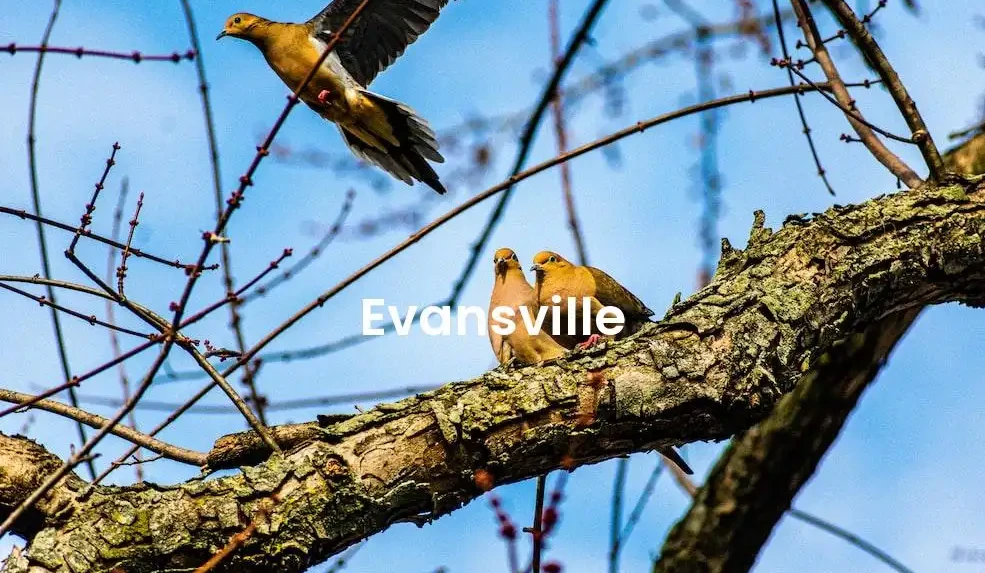 The best Airbnb in Evansville