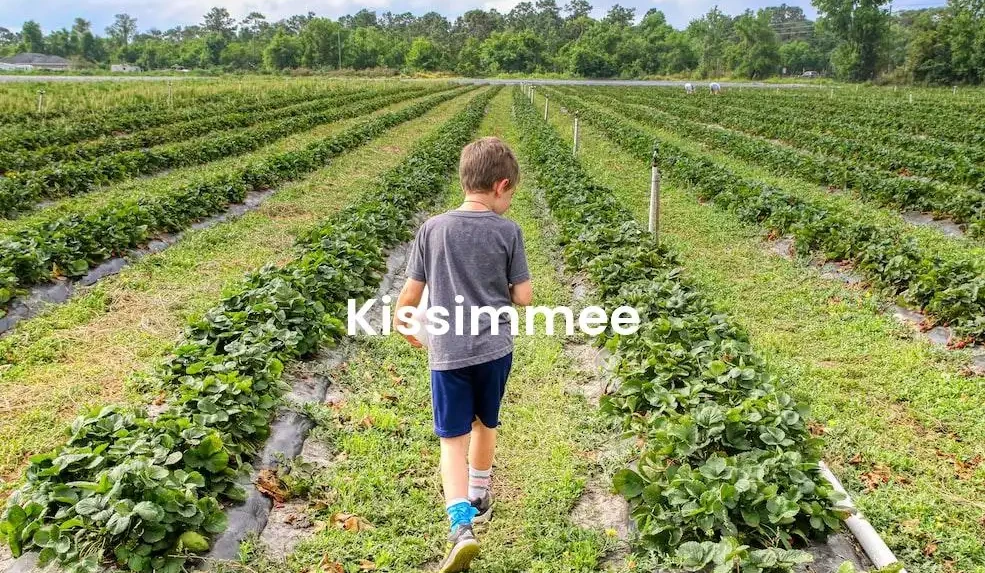 The best Airbnb in Kissimmee