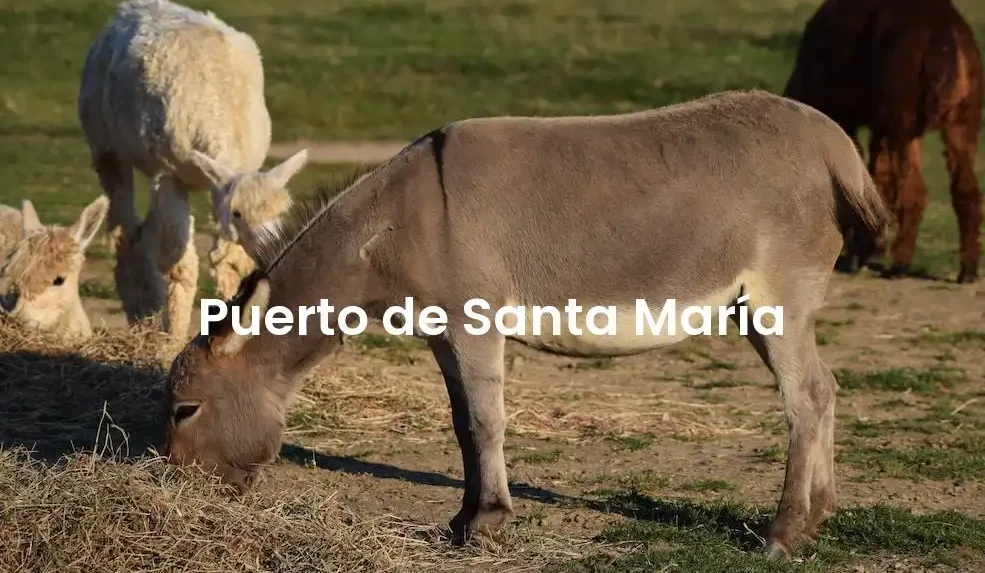 The best VRBO in Puerto de Santa María