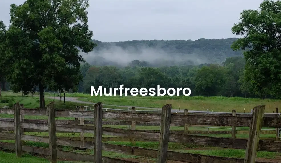 The best Airbnb in Murfreesboro
