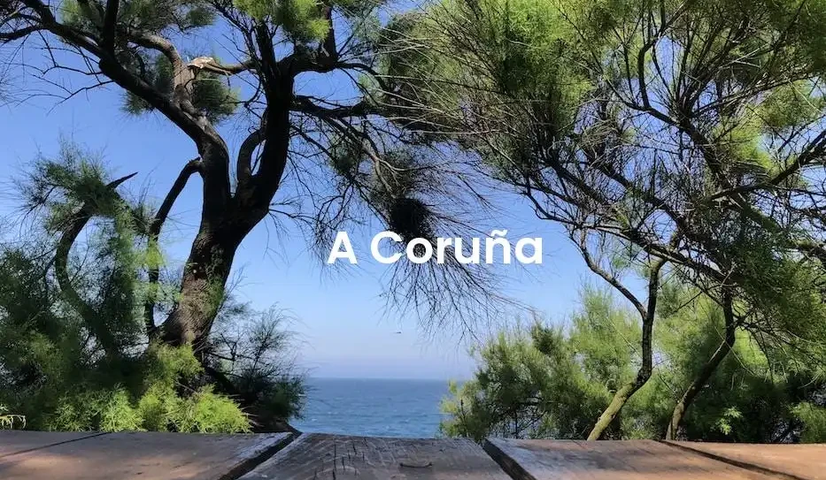 The best Airbnb in A Coruña