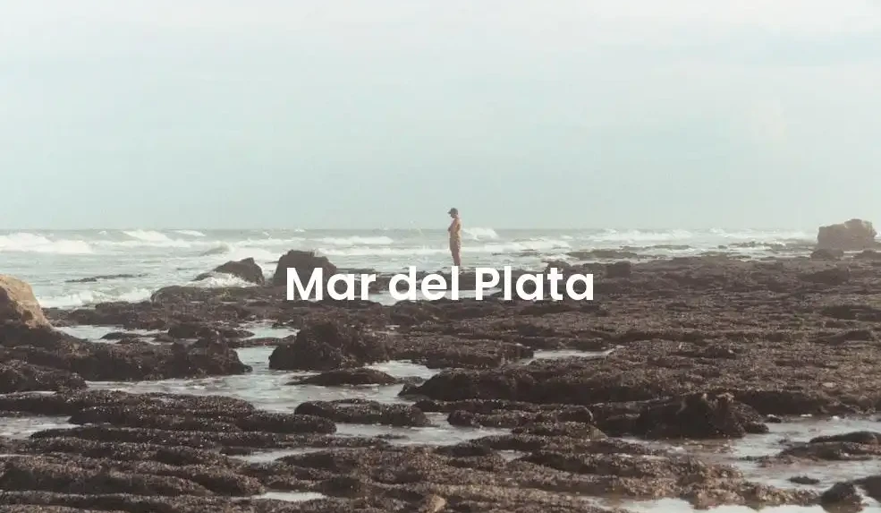 The best Airbnb in Mar Del Plata