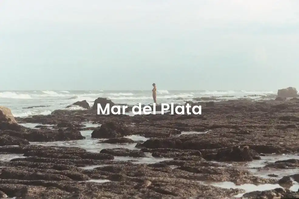 The best Airbnb in Mar Del Plata
