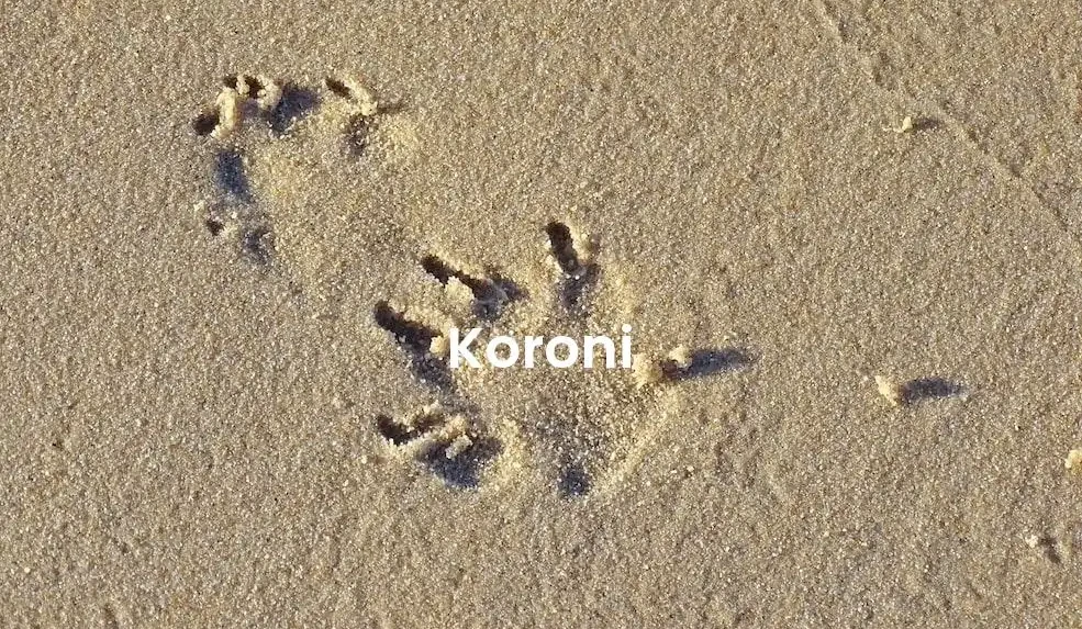 The best Airbnb in Koroni