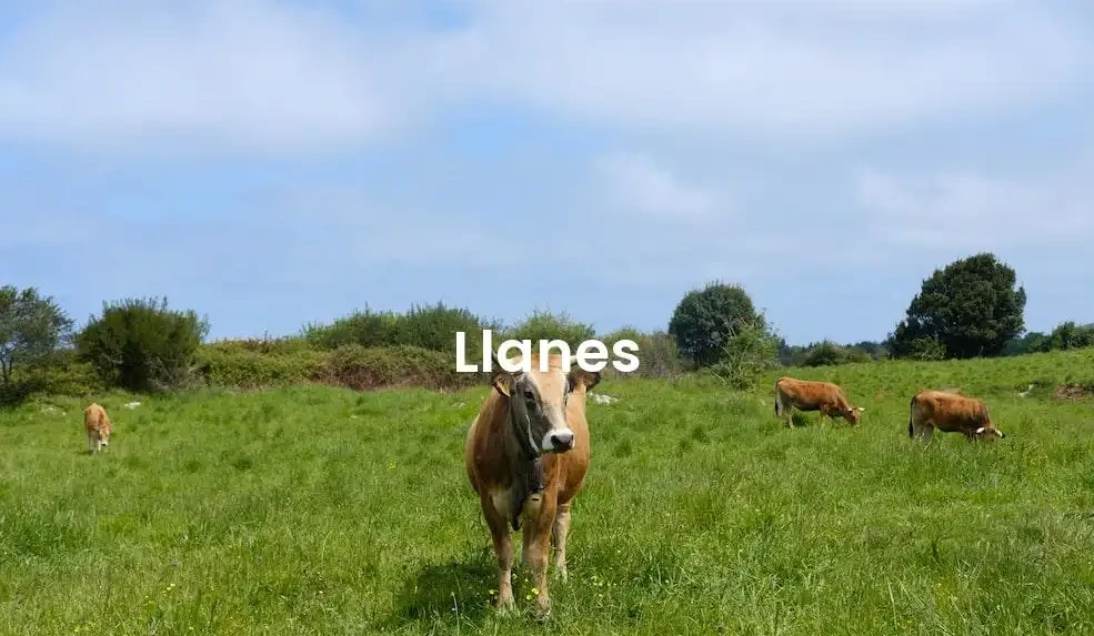 The best Airbnb in Llanes