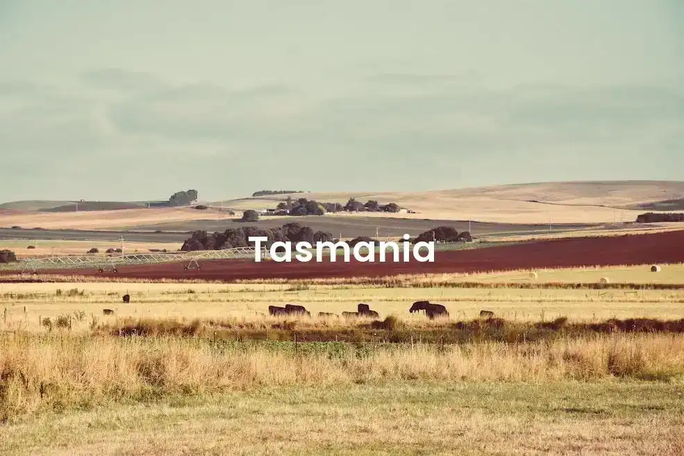 The best Airbnb in Tasmania