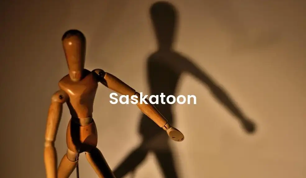 The best hotels in Saskatoon