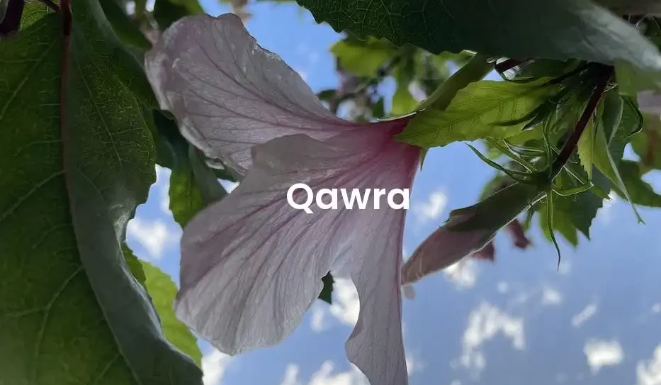 The best Airbnb in Qawra