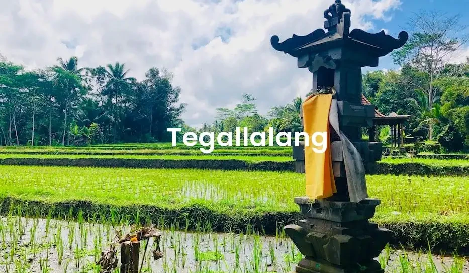 The best VRBO in Tegallalang