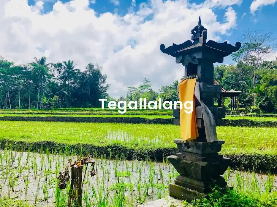 The best Airbnb in Tegallalang