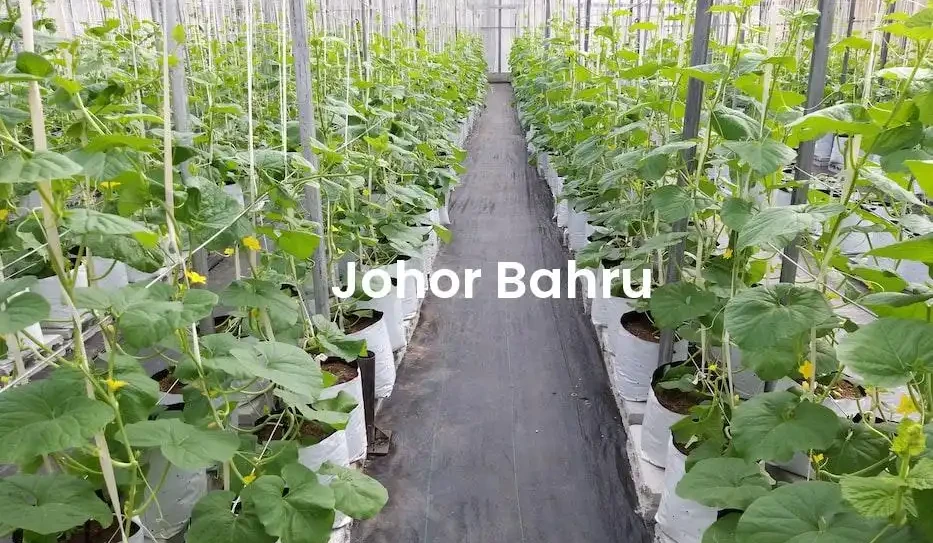 The best Airbnb in Johor Bahru