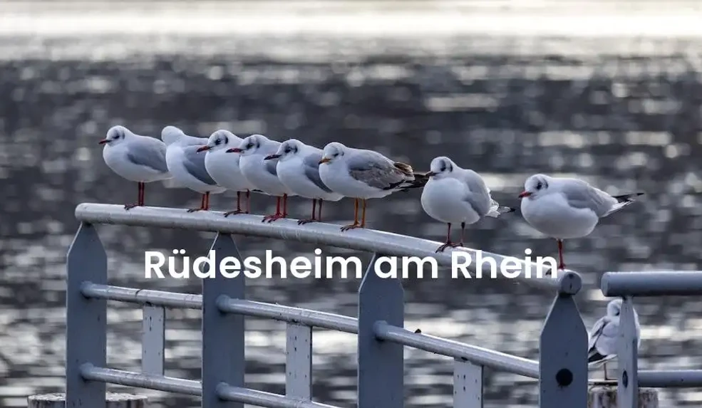 The best hotels in Rüdesheim Am Rhein