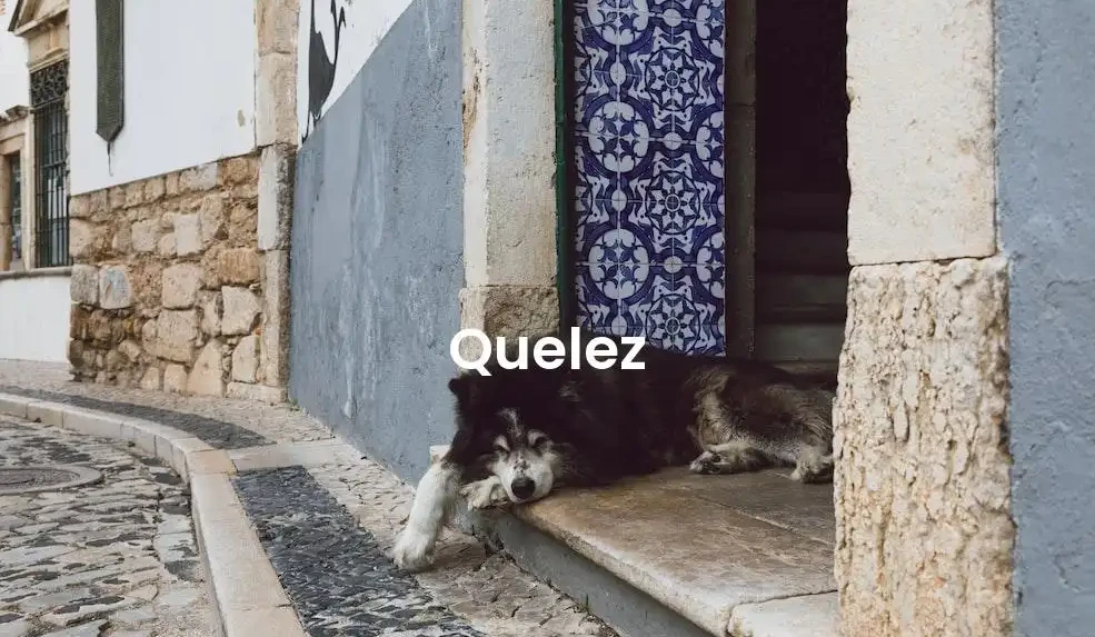 The best Airbnb in Quelez