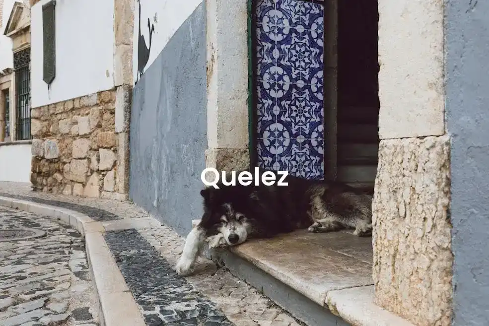 The best Airbnb in Quelez