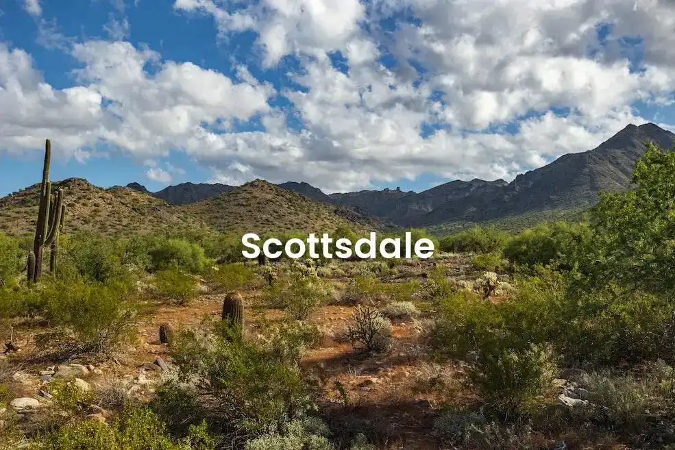 The best Airbnb in Scottsdale