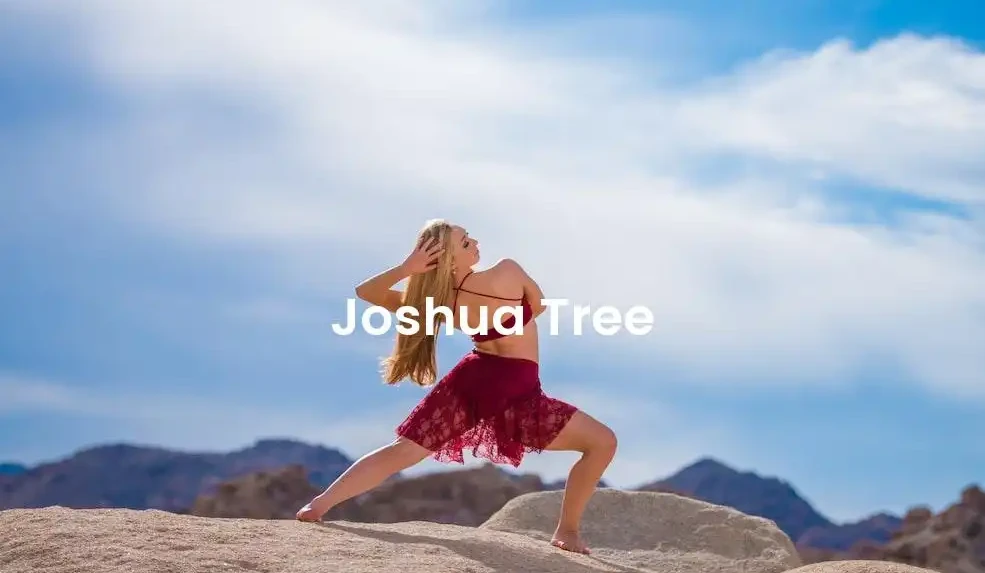 The best Airbnb in Joshua Tree