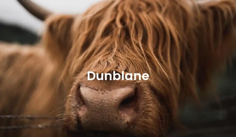 The best Airbnb in Dunblane