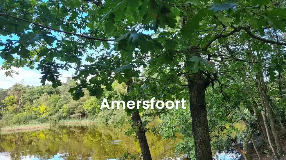 The best VRBO in Amersfoort