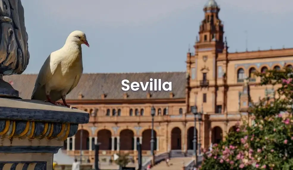 The best hotels in Sevilla