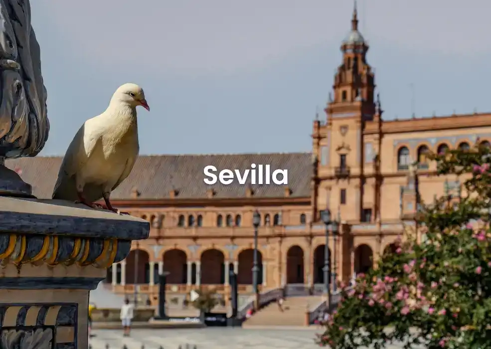 The best Airbnb in Sevilla